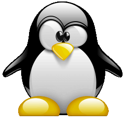 Linux : Cos’è e perchè usarlo!